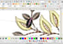 do professional embroidery digitizing floral pattern in wilcom